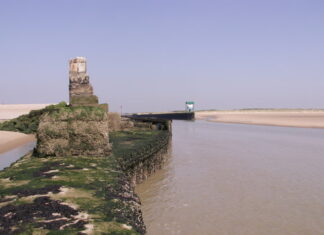 News in brief April 11