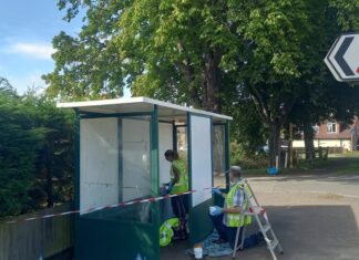 Meet the town stewards