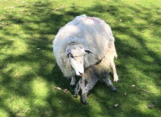 Mission accomplished