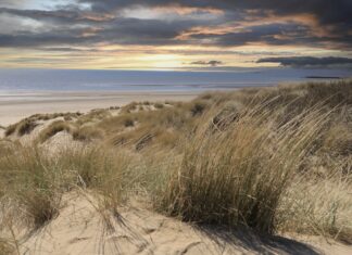 Illegal music event prevented at Camber