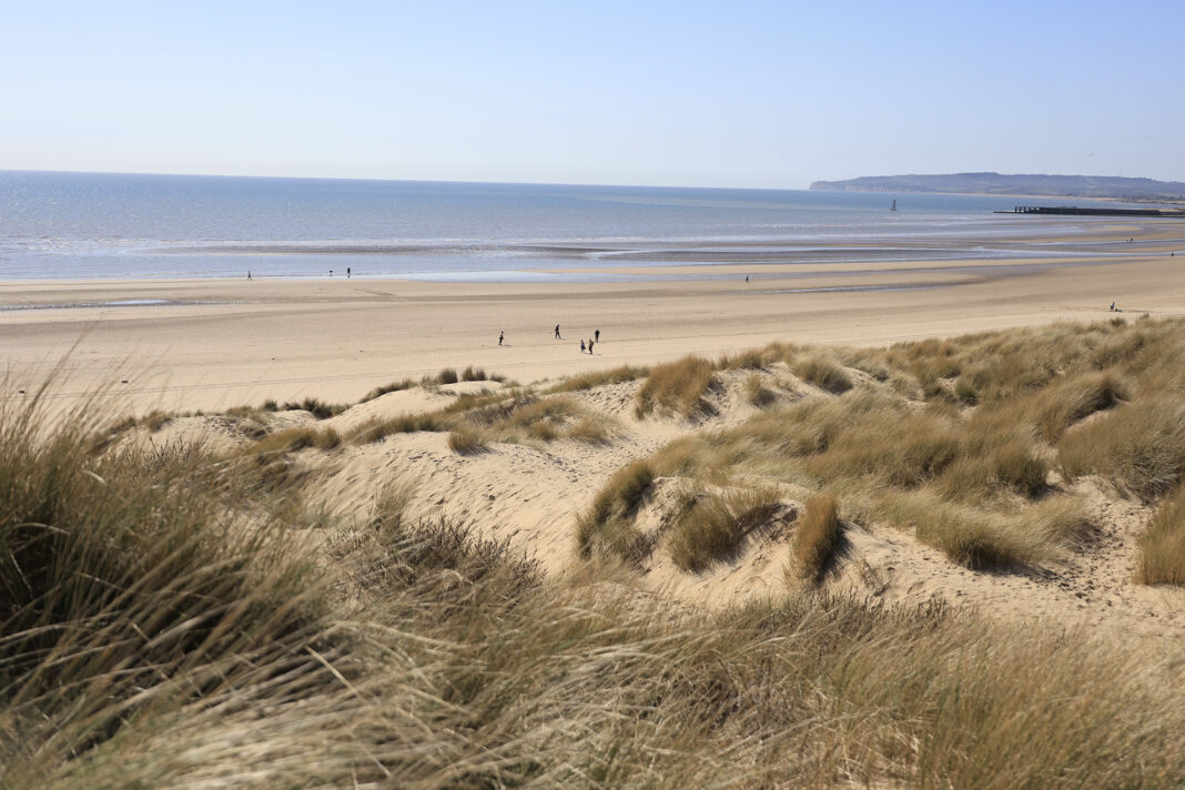 Camber Sands dunes 4F2A0123