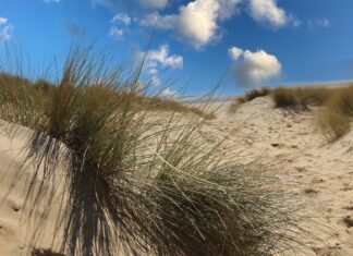 Sexual assault at Camber