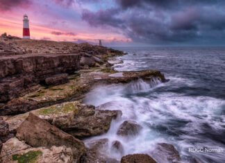 Stunning images by local photographers