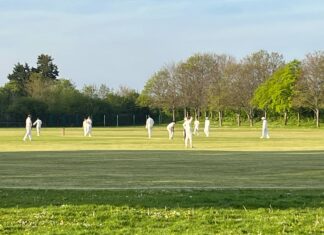 Cricket season gets underway