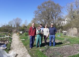 Spirit and aspirations