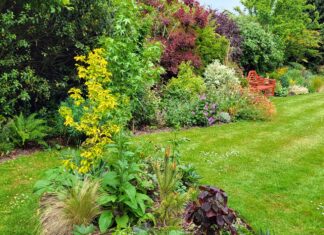 Winchelsea’s secret gardens