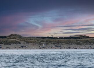 News in brief June 27