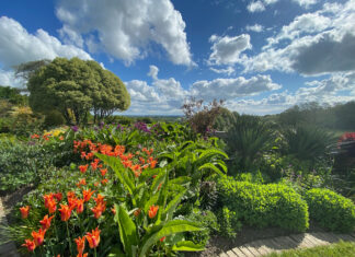 Picnic weekend at Fairlight Hall