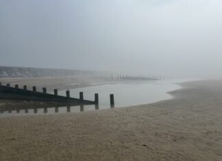 News in brief June 13