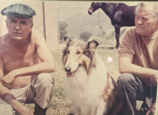 Growing up with Lassie – a Rye visitor on living with a movie legend