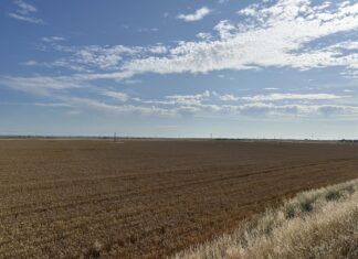 A third solar farm for Romney Marsh
