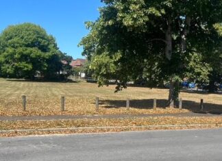 Low rainfall and hot weather