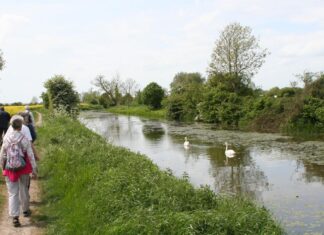 A walk in the country
