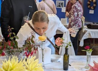 Could have been a contender