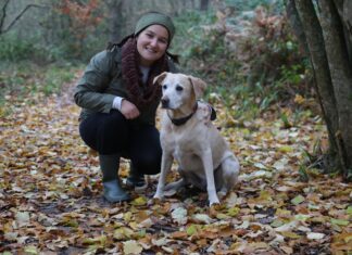 A dog show for Tilling Green