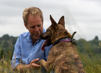 Help with your hound