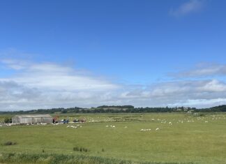 News in brief July 18