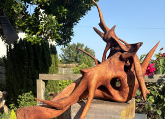 Woodland whispers in the garden