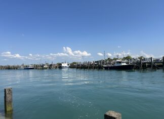 News in Brief August 29