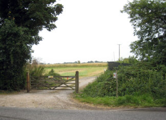 Tennis club targets more courts