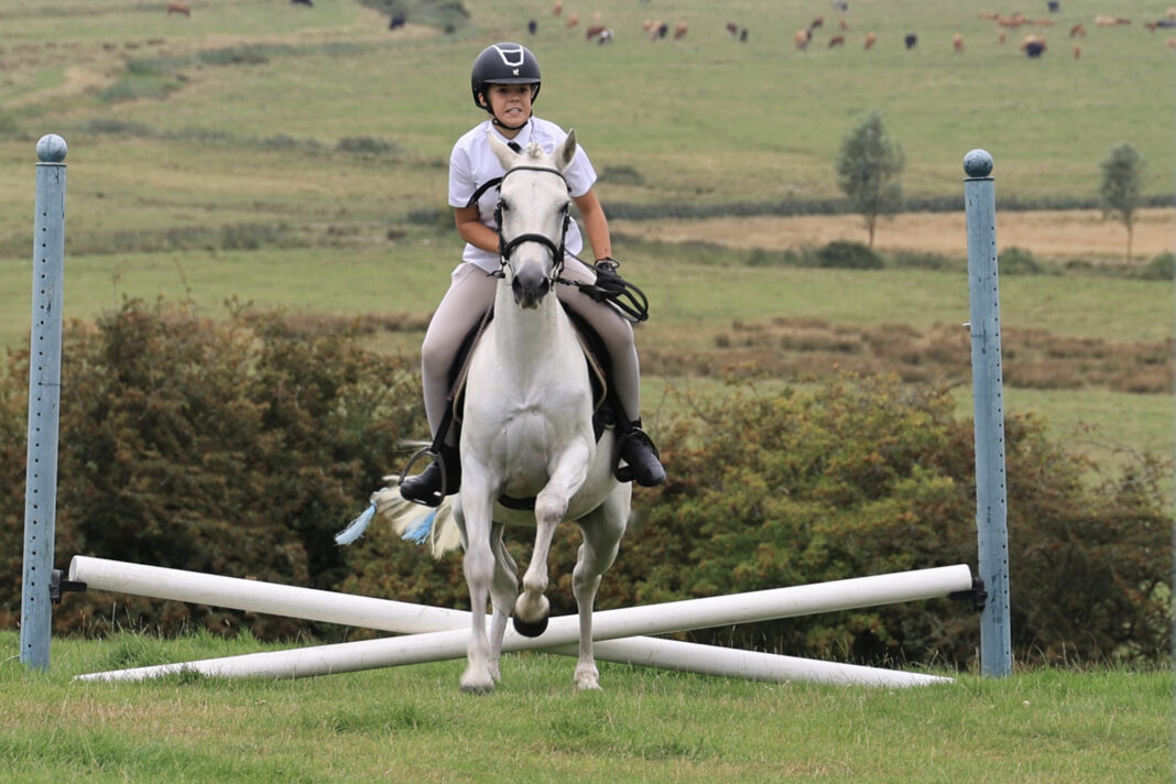 Rye and District Country Show