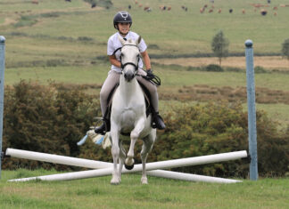 Rye country show 2025