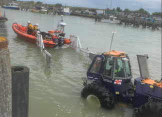 Friendly and full of energy