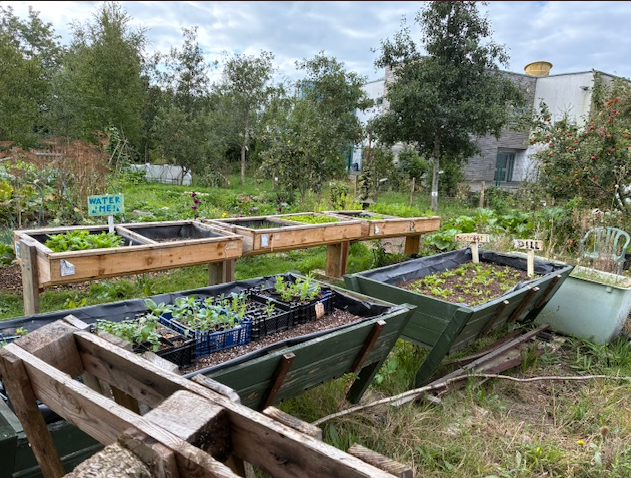 Screenshot 2025-08-25 093728