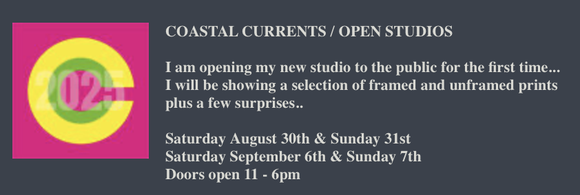 Tessa Holmes - Open Studios (eTCH studio23)