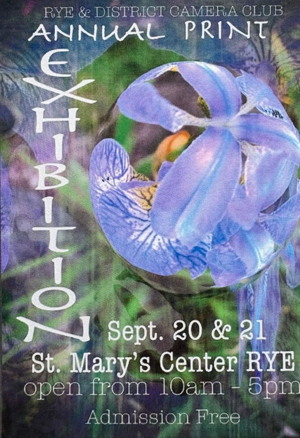 Annual Print Exhibition