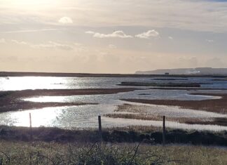 Sussex Wildlife Trust photo competition