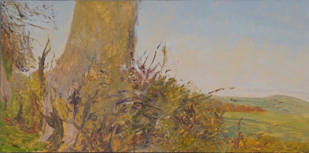 Allen_Georgina_Hampshire, Spring 2_2024