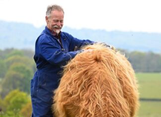 St George and the Blessed Julia