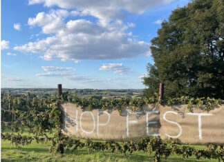 Tibbs Farm Hop Fest 2025