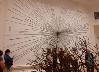 Andy Goldsworthy – art through nature