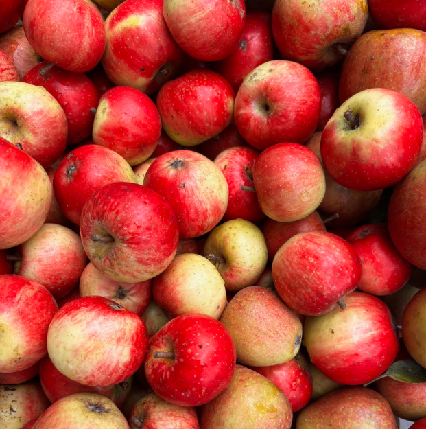 Screenshot 2025-09-30 165035