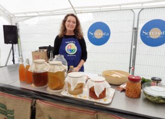 Harvest Fair – what a treat