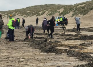 News in brief November 7