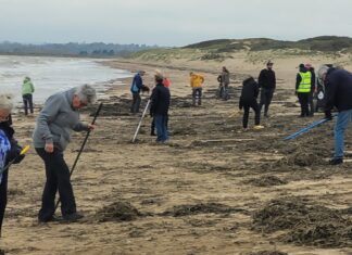 It could take years to clean up millions of pellets after pollution at Camber