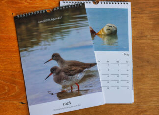 Calendar to raise funds for Mallydams