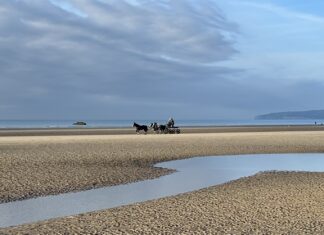 News in brief October 24