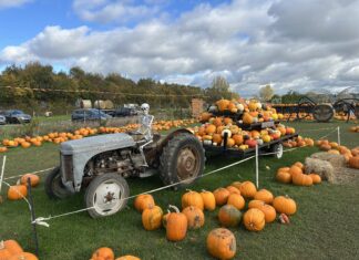 News in brief October 31