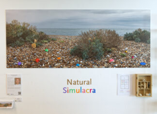 New installation at Rye Harbour