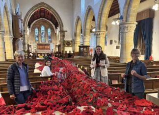 Stunning poppy display