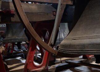 Protection from the pigeons