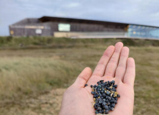 Plastic bio-beads found at Rye Harbour Nature Reserve