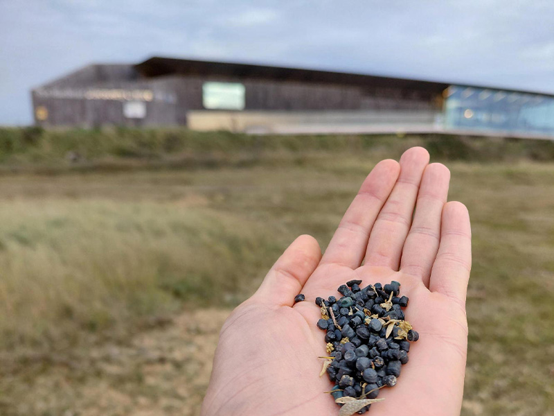 Biobeads_RHNR_ArthurSolman