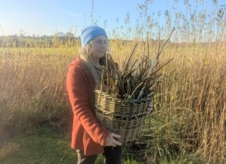 Autumn at Marsh Willow