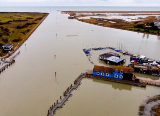 What does COP30 mean for Rye?