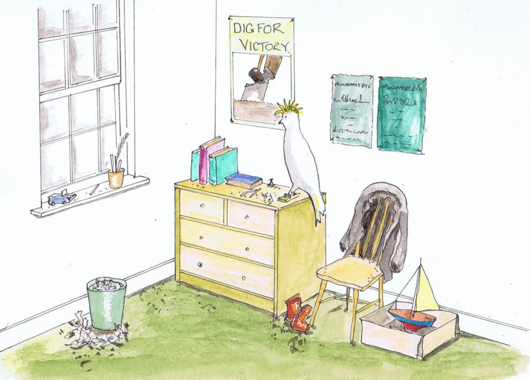 Atoo/Cockatoo of church square